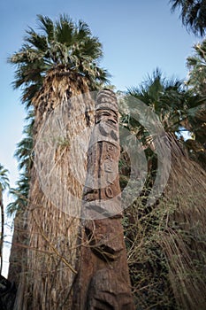 Carved tree at Thousand Palms Oasis Preserve