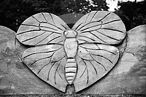 Carved Wasp in Oak Wood - Ilford FP4 Plus B&W Film photo