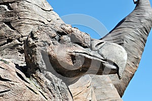 Carved from wood Dodo bird