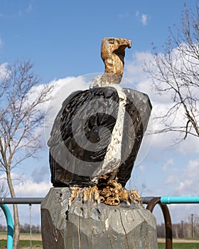 Carved wooden buzzard with the top of a swingset in the background at The Hideout in Allen, Texas.