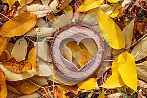 Carved wooden heart in the yellow fallen leaves. Top view with c