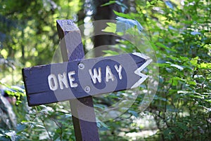 Carved Wooden One Way Sign