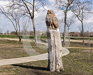 Carved wooden owl at The Hideout in Allen, Texas.