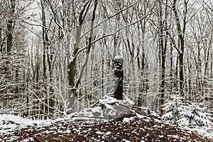 Carved wooden statue covered with snow standing on small hill in winter forest. Wooden sculpture of old Celt.Vacation outdoors photo