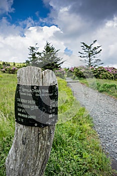 Carvers Gap Sign Post
