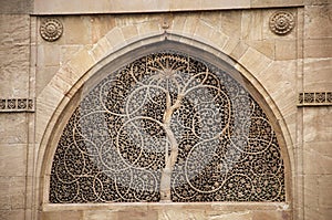 Carving details on the outer wall of the Sidi Sayeed Ki Jaali , Built in 1573, Ahmedabad, Gujarat, India