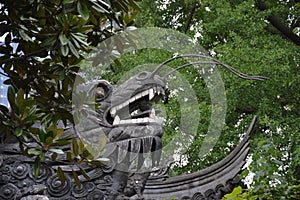 Carving of dragon`s head in trees in Shanghai, China