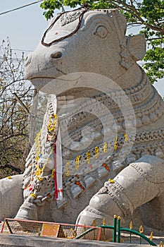 Carving of Nandi, the bull of Shiva in Hinduism