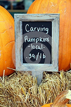 Carving Pumpkins Sale Sign