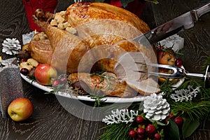 Carving Roasted Christmas Turkey with Grab Apples photo