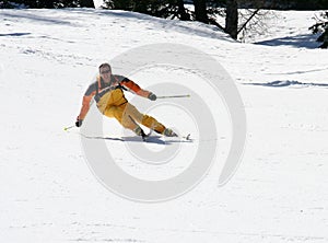 Carving skier