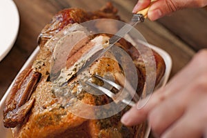 Carving a tasty Thanksgiving roast turkey