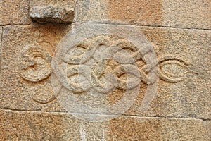 Carving of Twining serpents snakes on the wall of Gomateshwara temple, Vindhyagiri, Shravanbelgola