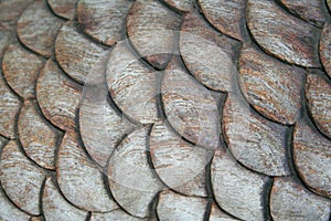 Carving wooden scale of mermaid`s tail,Texture wooden background,Handmade