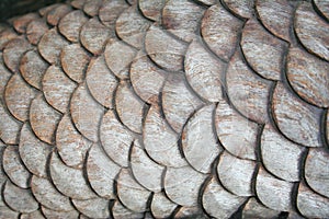 Carving wooden scale of mermaid`s tail,Texture wooden background,Handmade