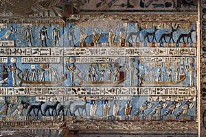 Carvings in ancient egyptian temple