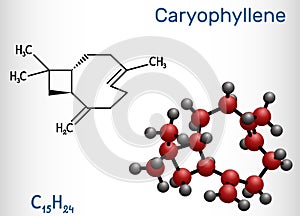 Caryophyllene, beta-Caryophyllene, C15H24 molecule. It is natural bicyclic sesquiterpene that is a constituent of many essential photo