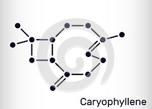 Caryophyllene, beta-Caryophyllene, C15H24 molecule. It is natural bicyclic sesquiterpene that is a constituent of many essential photo