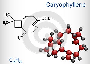 Caryophyllene, beta-Caryophyllene, C15H24 molecule. It is natural bicyclic sesquiterpene that is a constituent of many essential