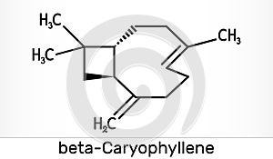 Caryophyllene, beta-Caryophyllene, C15H24 molecule. It is natural bicyclic sesquiterpene that is a constituent of many essential