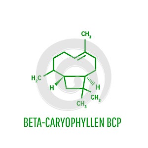 Caryophyllene molecule. Constituent of multiple herbal essential oils, including clove oil. Skeletal formula