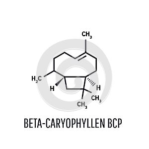 Caryophyllene molecule. Constituent of multiple herbal essential oils, including clove oil. Skeletal formula