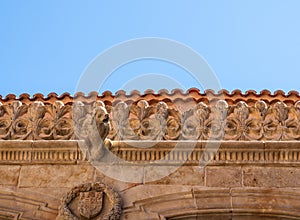 Casa de la Conchas and its carved waterspout in Salamanca Spain