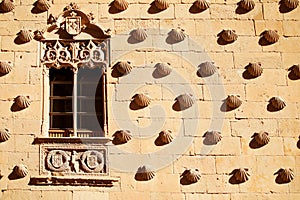 Casa de las Conchas with La Clerecia Church in Salamanca, Castilla y Leon, Spain