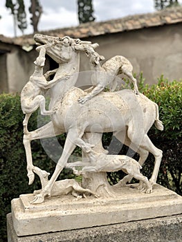 `Casa dei cervi` in the Parco Archeologico di Ercolano, Herculaneum photo