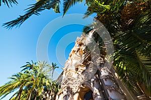 Casa del Prado in Balboa park surrounded by palm trees