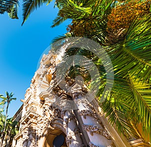 Casa del Prado in Balboa Park surrounded by palm trees