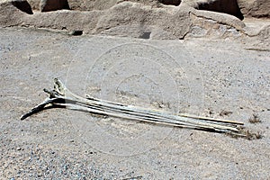 Casa Grande Ruins National Monument Arizona