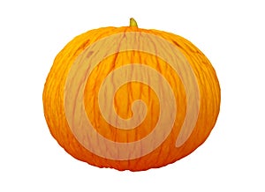 Casaba melon isolated