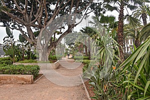 Casablanca, Morocco - Feb 9, 2023: Arab League Park in the heart of Casablanca