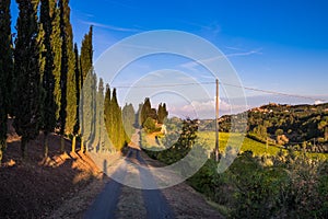 Casale Marittimo, Tuscany, Italy, view from the vineyard on sept photo