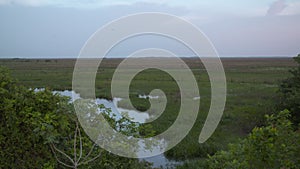 Casanare Water Swamps, Wisirare Park, Colombia