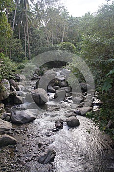 Casaroro River rapids Valencia, Negros, Philippines