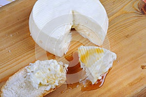 Casatella Italian cheese