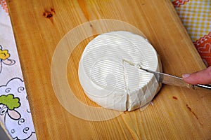 Casatella Italian cheese