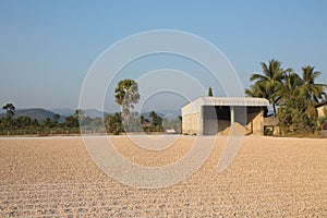 Casava on drying bed and silo in rural of Thailand