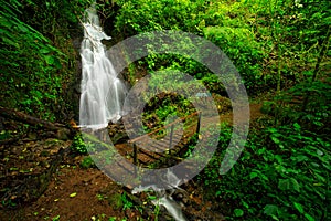 Cascada Bromelias, waterfall Tapanti National park, Costa Rica. Holiday in tropic forest, green tropic forest, Costa Rica. Travell