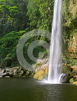 Cascada (waterfall) Misol Ha