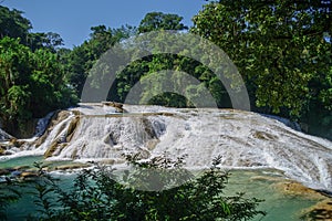 Cascadas de Agua Azul waterfalls. Agua Azul. photo