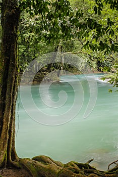 Cascadas de Agua Azul waterfalls. Agua Azul. photo