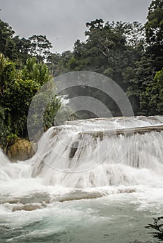 Cascadas de Agua Azul waterfalls. Agua Azul. photo