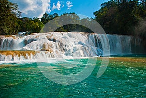 Cascadas de Agua Azul waterfalls. Agua Azul. Yucatan. Mexico