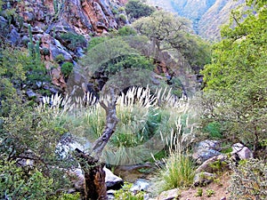 Cascadas del rio Colorado Trek photo