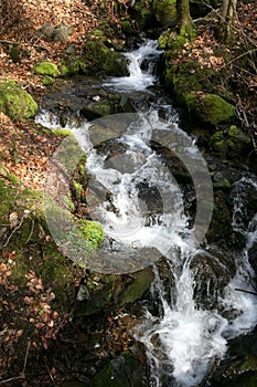 Cascade