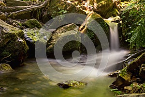 Cascade in asturias spain forest