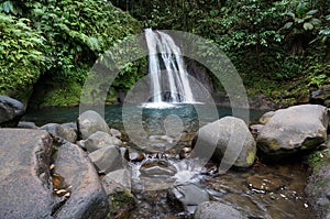 Cascade aux Ecrevisses in Guadeloupe